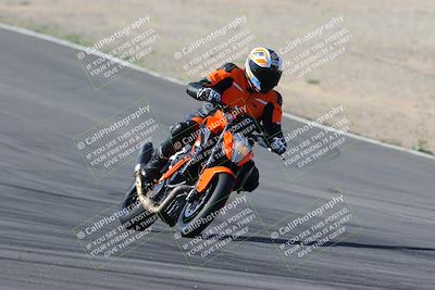 media/Feb-04-2023-SoCal Trackdays (Sat) [[8a776bf2c3]]/Turn 10 Backside (1010am)/